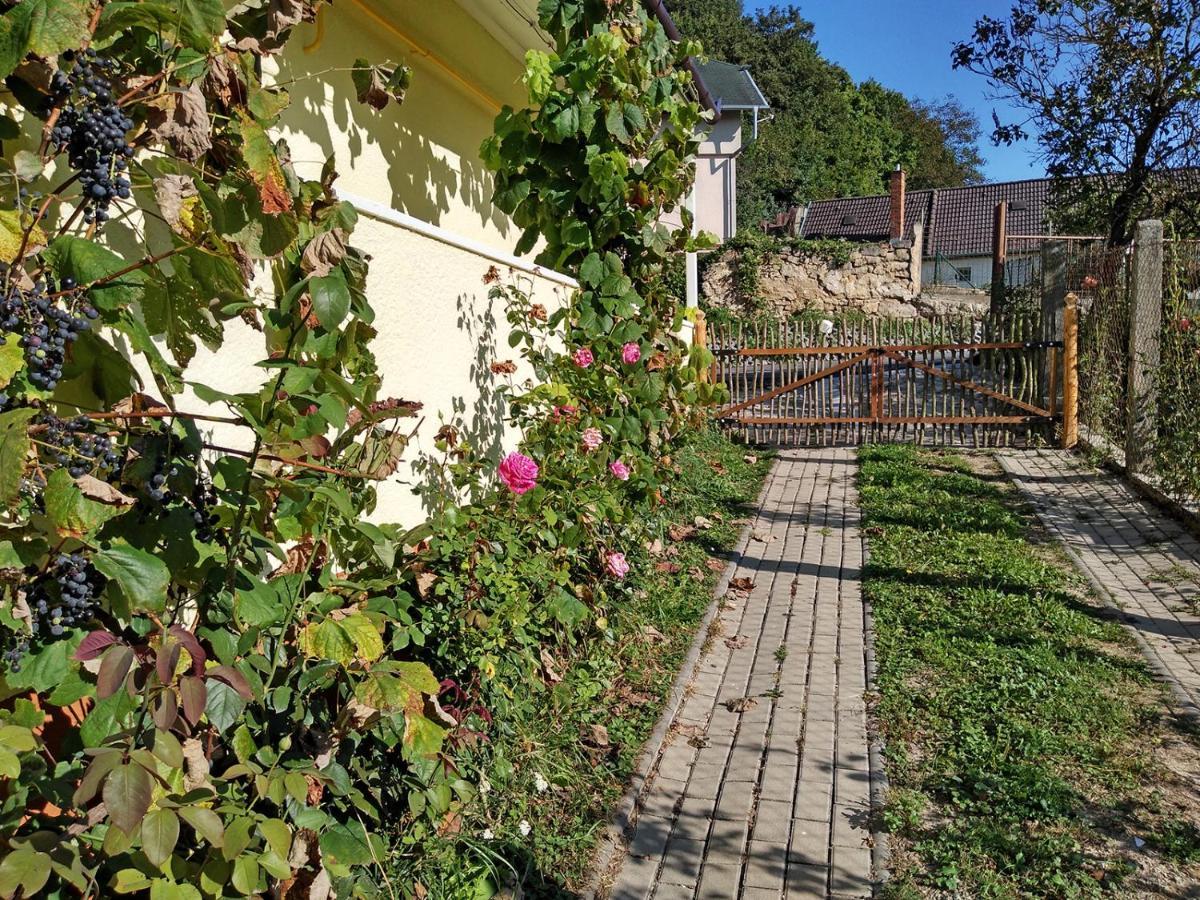 Lately Renovated Country House Trenčín Exterior foto